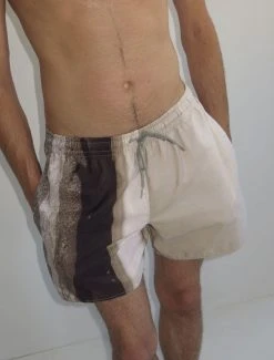 Paloma Wool no 1233 / Cat