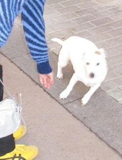 Paloma Wool no 1025 / Matrix -The Mode Nith Sales Store matrix warm sweater infinate op art design navy 02