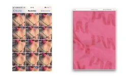 Paloma Wool no 665 / Ryokan -The Mode Nith Sales Store no 611 kane 03